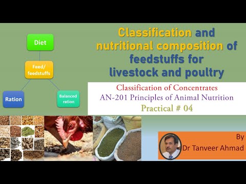 Practical 4- Identification of Energy Concentrates-Lectures in Animal Sciences/Animal Nutrition