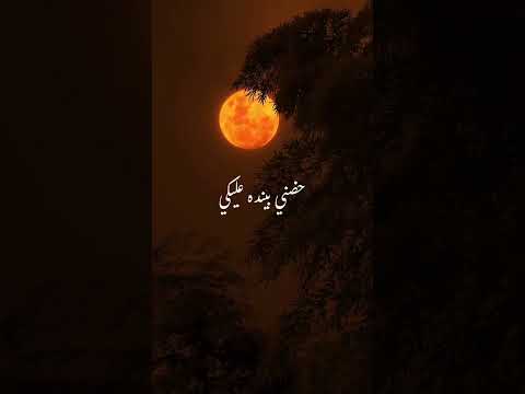      رامي صبري سكيتي ليه حالات واتس