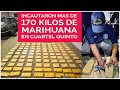 INCAUTARON MAS DE 170 KILOS DE MARIHUANA EN CUARTEL QUINTO