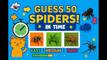 Can you recognize all 50 spiders before time runs out? 🕸️ #spider