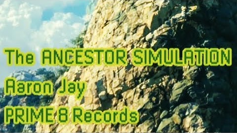 The Ancestor Simulation