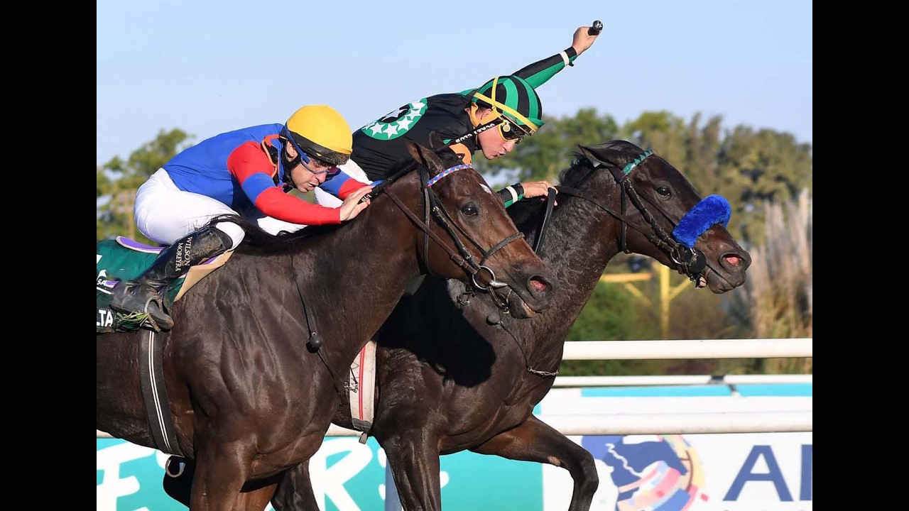 Clásico Omega (G2) 2026 - Orpen Rimout (Remote)