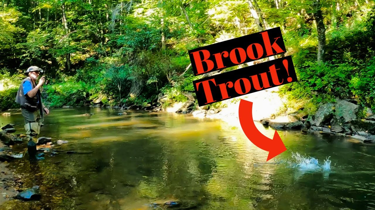 TIPS to catch more Trout in HOT weather/warm waters! Awesome day of