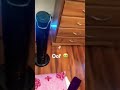the most boring trend#viral #oof #funny #satisfying #shorts #omg #landon #support #sigma #roblox