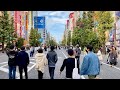 【4K】Tokyo Walk - Akihabara(Pedestrian Paradise),2021