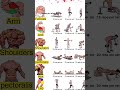 Full Body Workout at Home   Equipment | Burn Fat &amp; Build Muscle Fast #FullBodyWorkout #homeworkout#