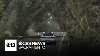 Teen safety driving advocates renew focus on safety laws