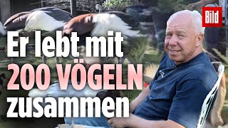 Kaum zu glauben, dass sich dieser „Dschungel“ in Deutschland befindet screenshot 3