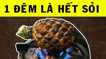 Lấy 1 Quả Dứa Làm Thế Này Thì Sỏi Thận Sỏi Mật Cũng Ra Sạch Ngay Tại Nhà | HYT3