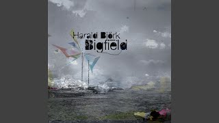 Bigfield (Original Mix)