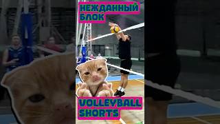 Нежданный блок #volleyball #женскиекомандыпляжныйволейбол #волейбол #sport #volleyballworld