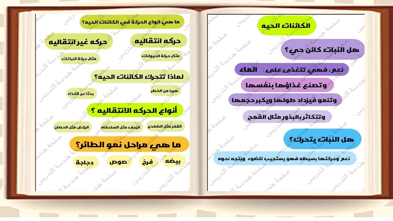 تلخيص الوحدة الاولى من خصائص الكائنات الحية المعلمة نهى سمارة Youtube
