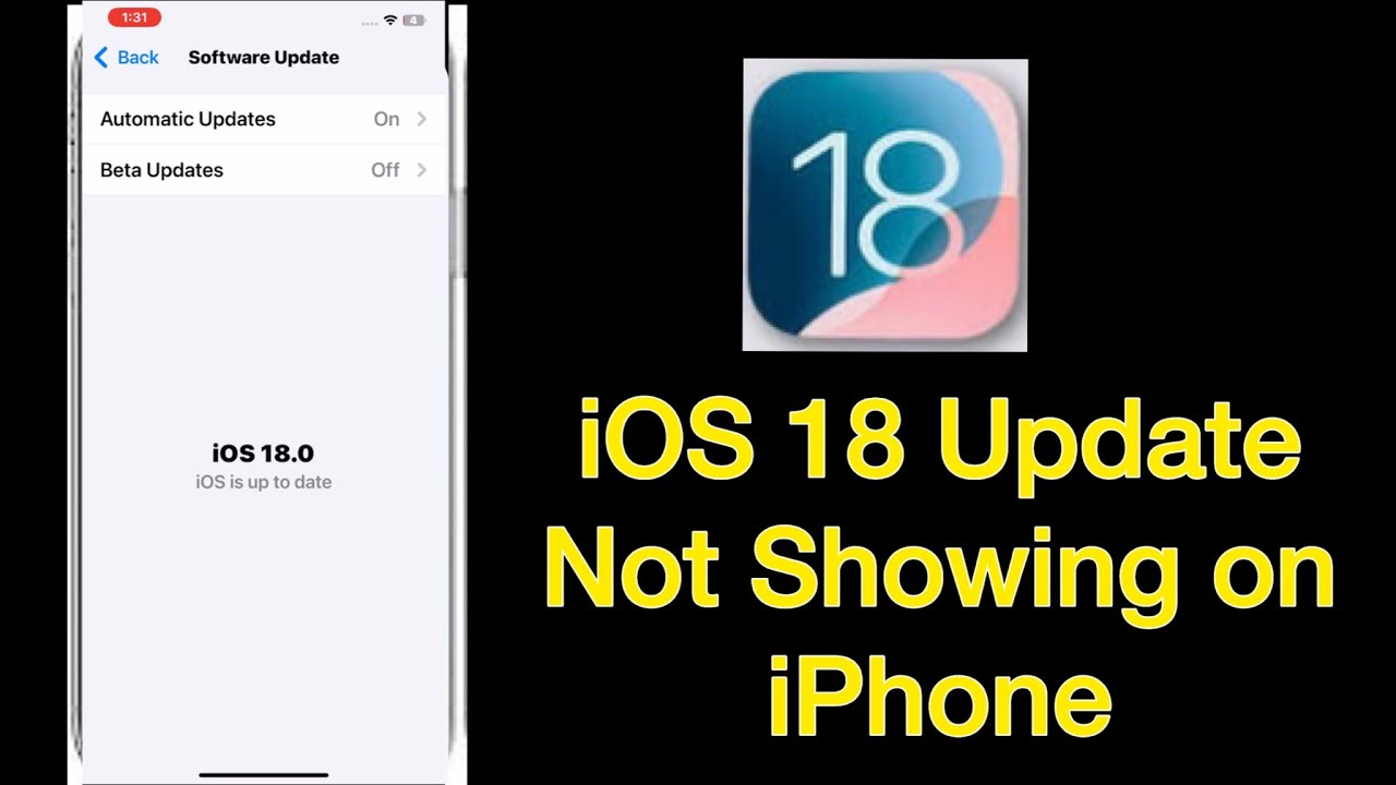 How to Fix iOS 18 Update Not Showing on iPhone - YouTube