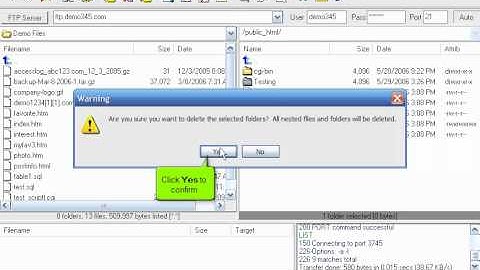 Managing files/folders in LeapFTP - FTP Tutorials