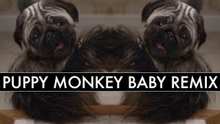 Puppy Baby Monkey Remix Kevin Ryder Mike Relm Youtube
