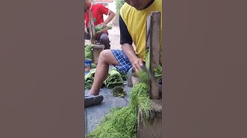 cool ,, this is how to slice the leaves with machetes #shorts