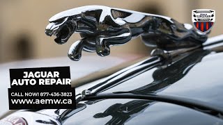 Jaguar Auto Repair Red Deer AB 📞 Let's Hear From You 877-436-3823 | Alberta European Motorworks
