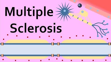 Multiple Sclerosis and the Myelin Sheath