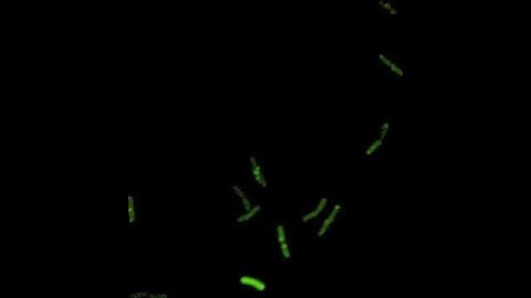 Competence  development