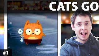 CATS GO | KOTY GO GAMEPLAY PL | Cats go - Gra podobna do POKEMON GO screenshot 4