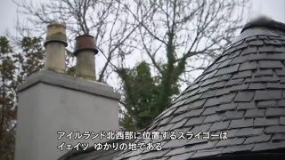 Video thumbnail of "サリー・ガーデン　　アイルランド民謡"