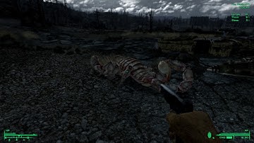 Albino radscorpions afterlife in Fallout 3: wanderer