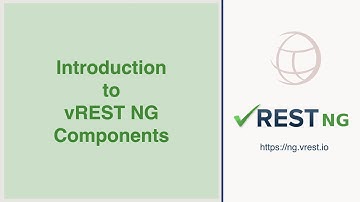 Introduction to vREST NG Components | API Automation
