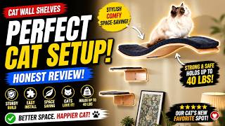 Waved Cat Shelf Review | Best Wall Mounted Cat Shelf for Indoor Cats