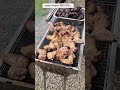 No Gas? No Problem! 🔥 Portable Charcoal Grill in Action #shorts #portablegrill #summer #bbq