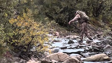 Sheep Shape TV - Sportsman Channel  - Chad Hall, Rick Carone, Kelsie Burford and Patrick Scrogin