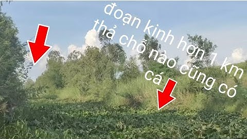 Câu Cá Rô Đồng, mà trúng điểm câu vầy mới mê nè.@tranchungnhaclinh @tranchungcuchi