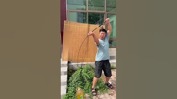 Cần câu máy Ikada 2 khúc siêu dẻo câu cá dìa tráp nâu biển 4-8kg #fishing #shorts