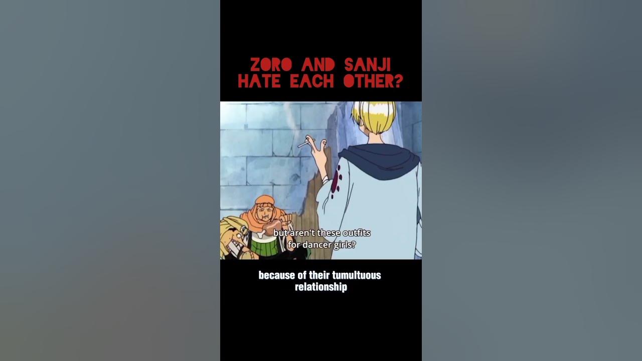Zoro and Sanji Hate Each Other? Zoro Sanji onepiece YouTube