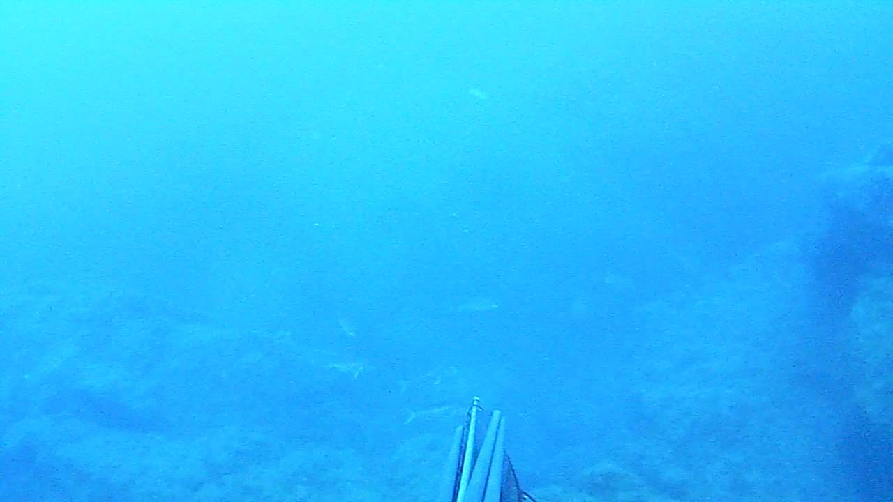 denticioni troppo lontani.MP4