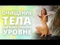 Система очищения Тела на клеточном уровне. Отзывы.