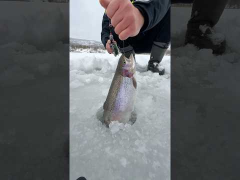 #cooking #food #outdoorcooking #top #carpfishing #outdoors #usa #fishing #camping