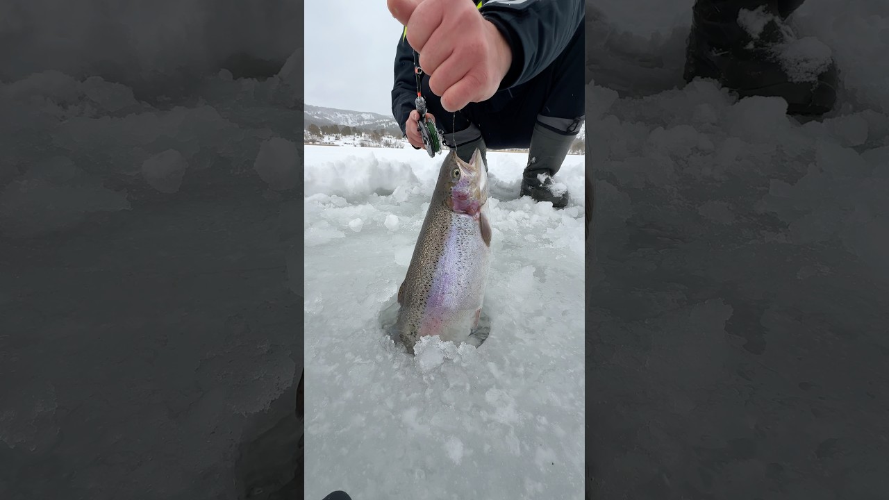 #cooking #food #outdoorcooking #top #carpfishing #outdoors #usa #fishing #camping