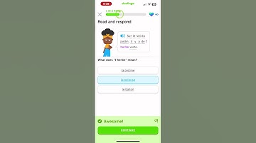 Let’s learn French with Duolingo #beginner section 5: adventurer unit 8 #languagelearning #français
