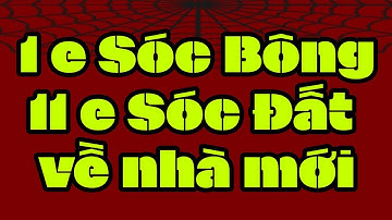 1  Sóc Bông , 11  Sóc Đất ship Cần Thơ , Biên Hòa , Đồng Nai , Quận 3 , Củ Chi , Bình Tân , Long An