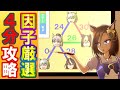 初心者が課金者に勝てる因子学【ウマ娘】