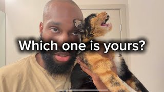Every cat has a role in this house!