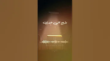 كلها أحضان مطارات جديد 