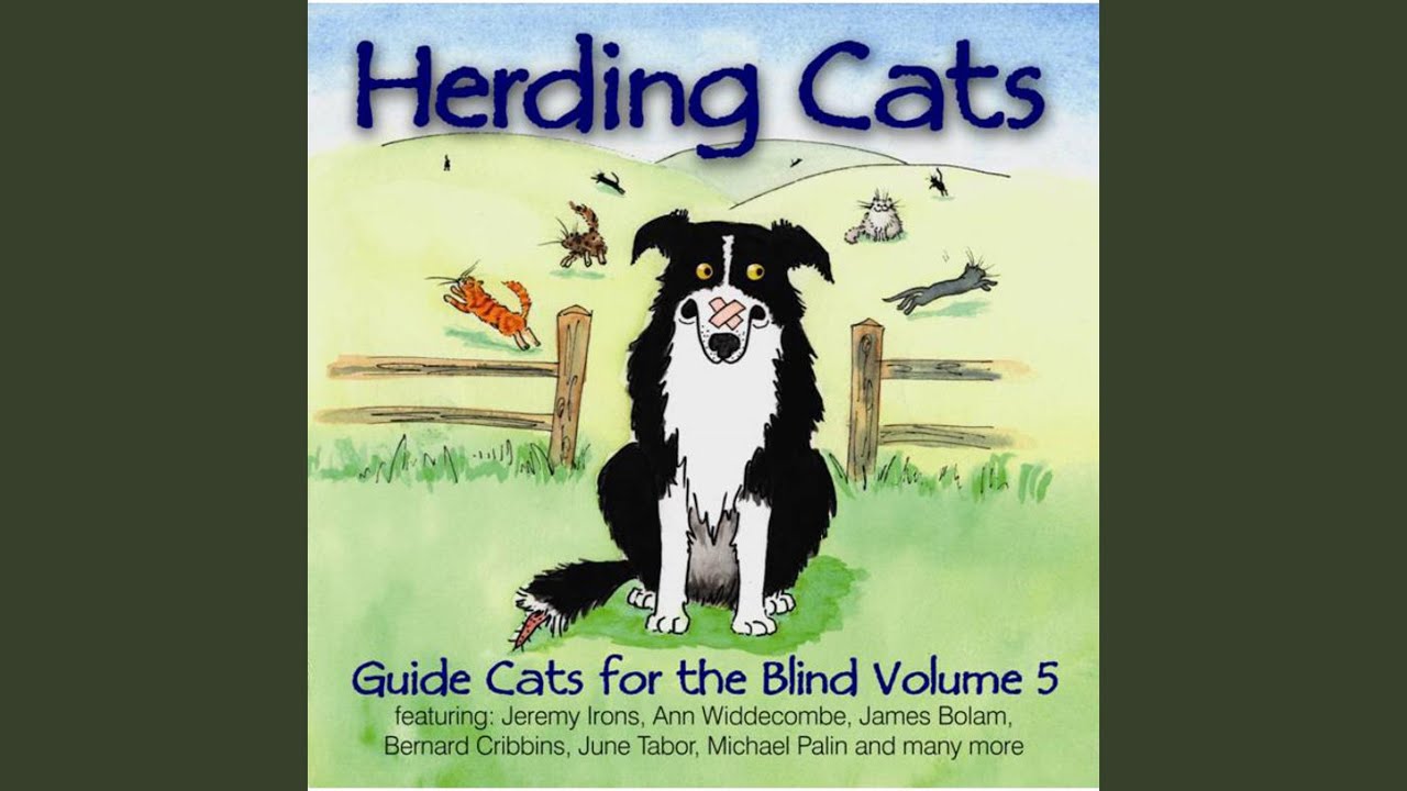 Why Don't They Write It on the Side?