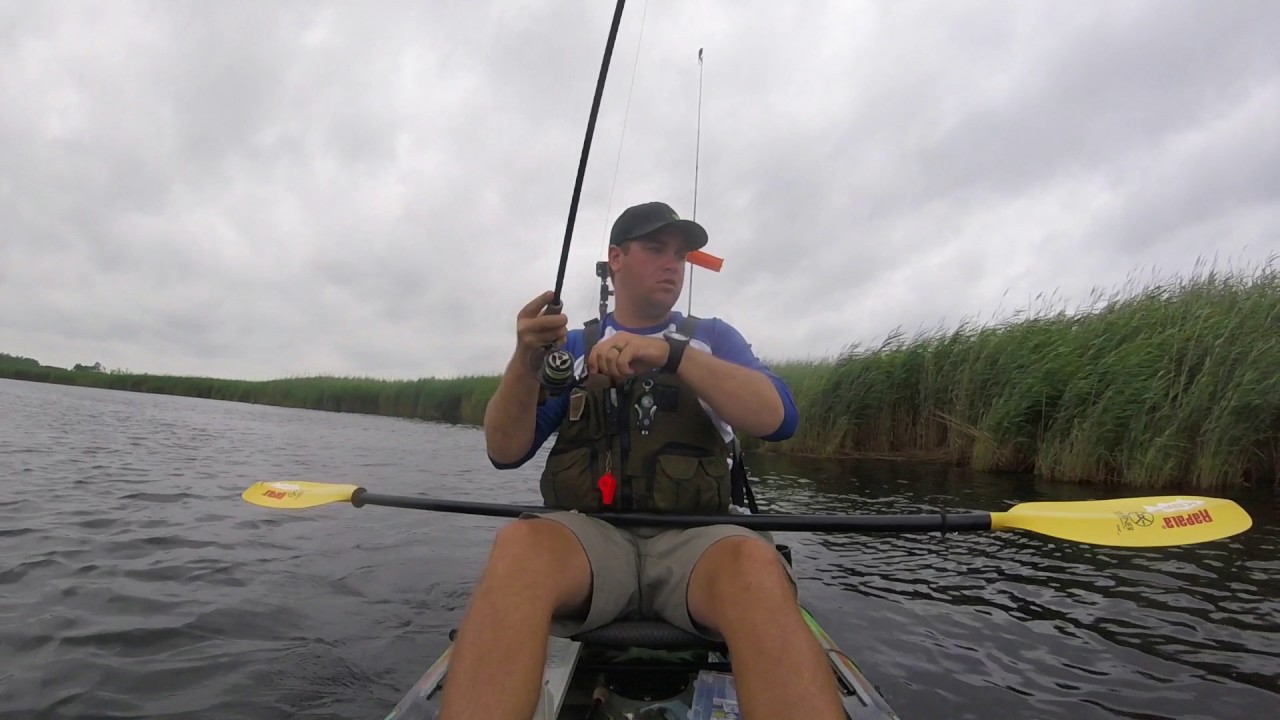 Kayak Fishing Back Bay Virginia YouTube