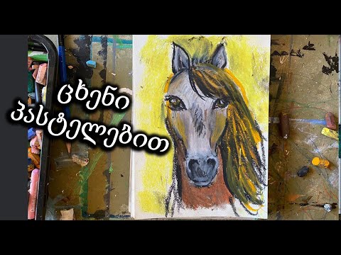 როგორ დავხატოთ ცხენი პასტელებით