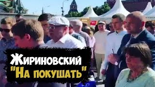 Жириновский Раздает На Красной Площади Деньги «На Покушать»