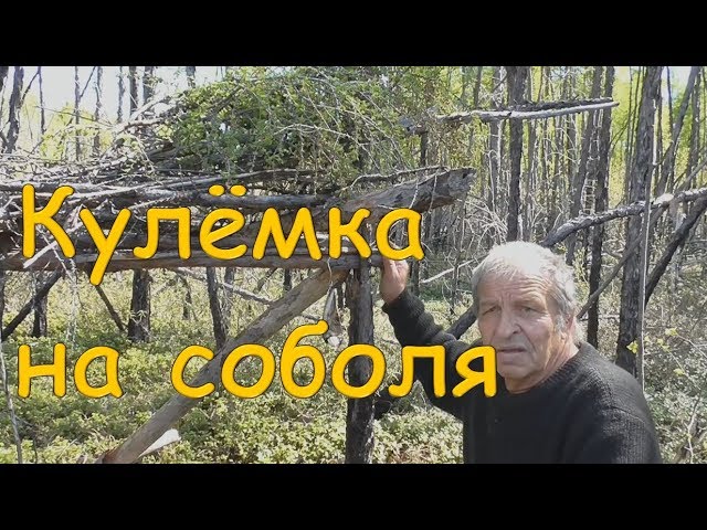 Промысловые ловушки | Средуралавтострой, Екатеринбург