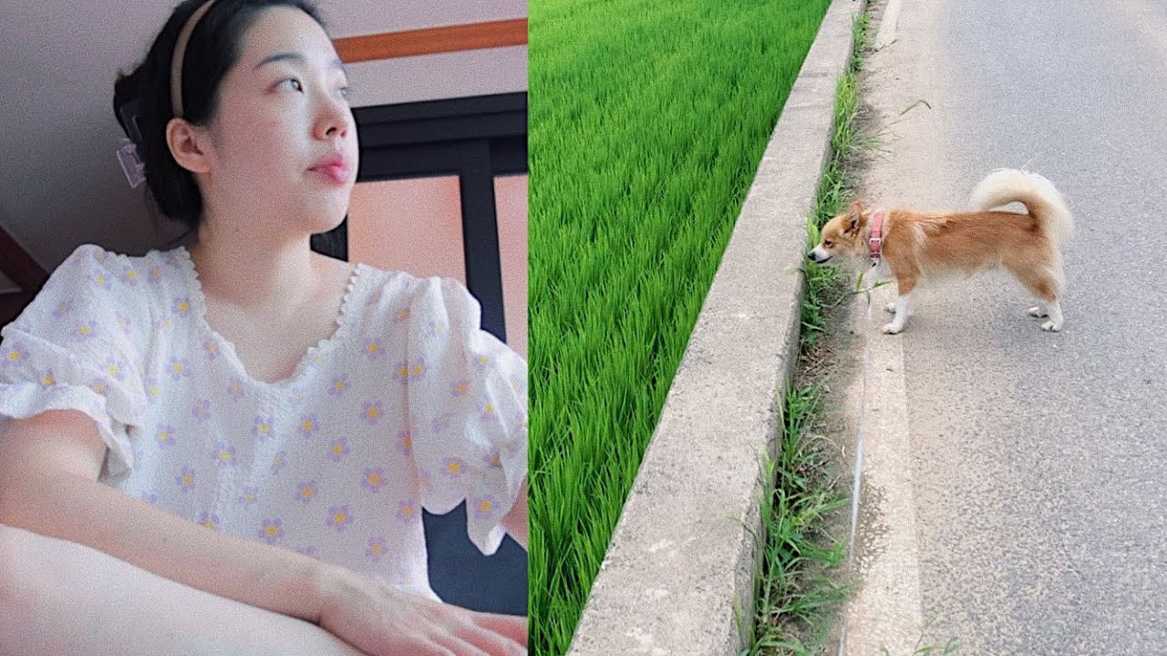 #166 Vlog I 시골 브이로그 I 새 집 입주 I 산책 I 일 I 빠르게 적응 중 I 김갈릭