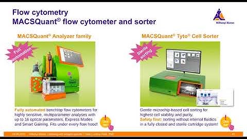 Working with antigen-specific T cells