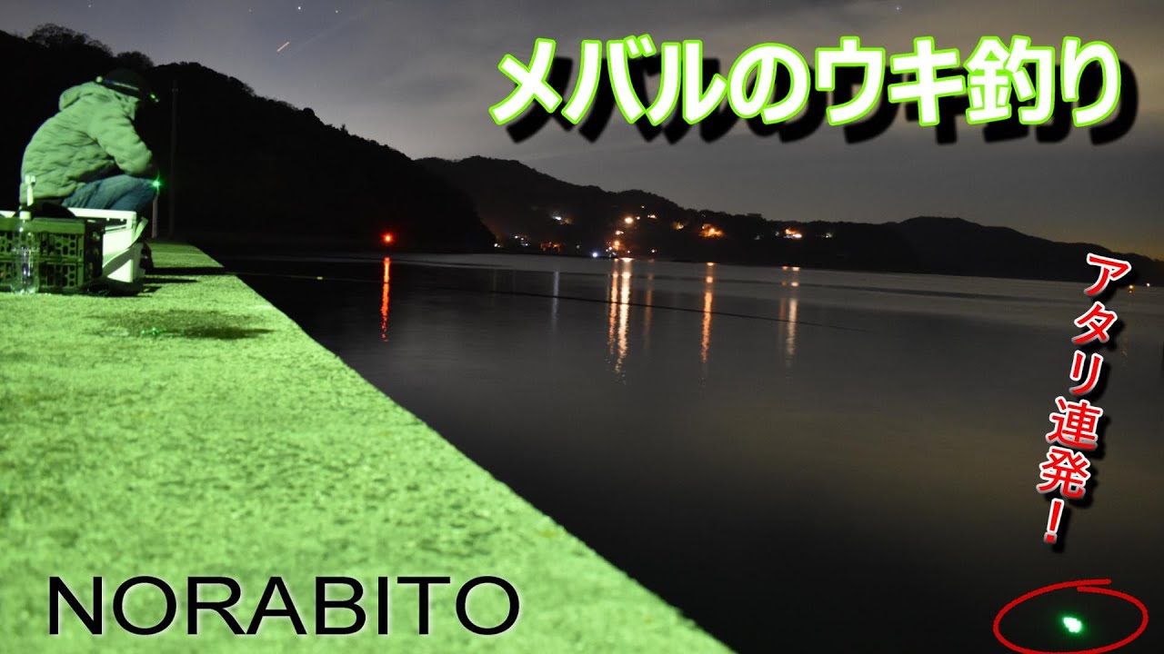 【メバル釣り】海水温が低下してきたのでメバル狙ってみました！ウキの揺らめき眺めながら。